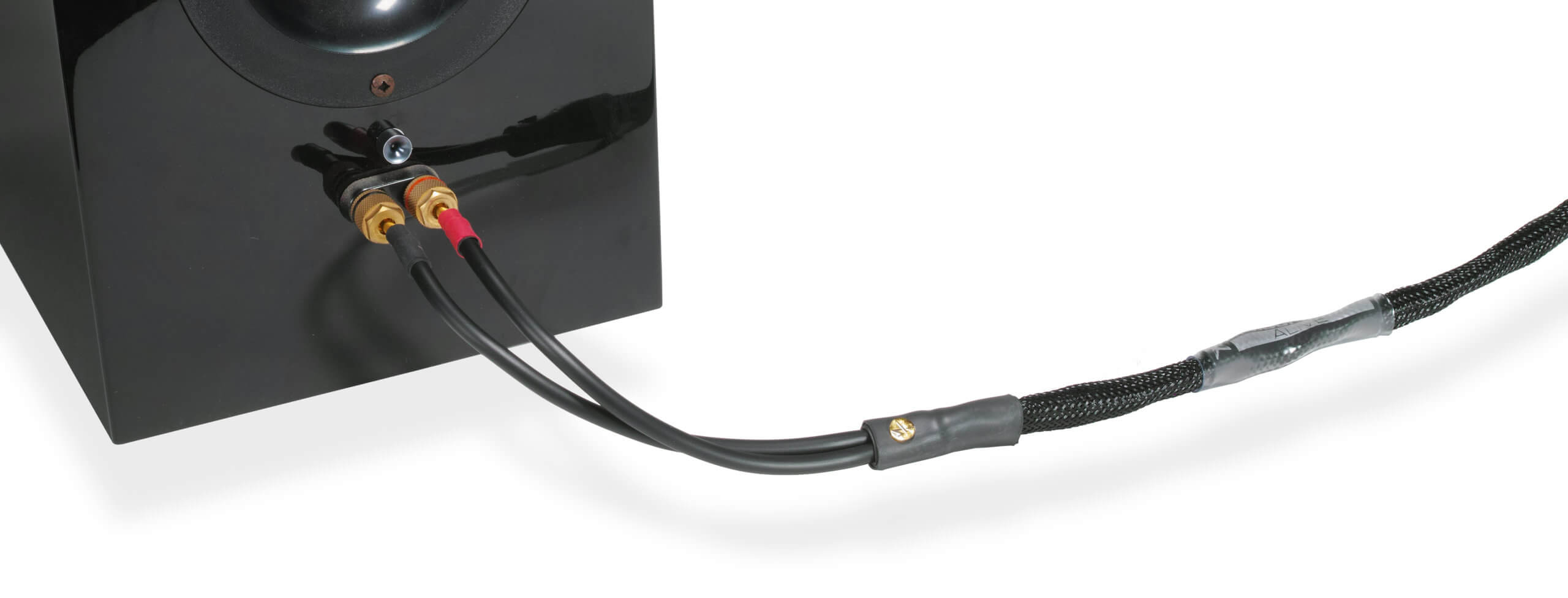 GoldCarbonTuningDisksonSpeakerCropped